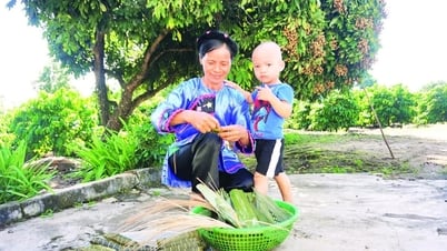 Dẻo thơm bánh tro