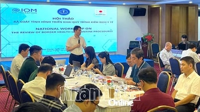 Workshop to review the implementation of medical quarantine procedures