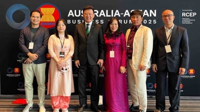 Vietnamese Embassy attends the 6th Australia-ASEAN Business Forum