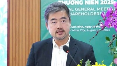 Bamboo Capital เปลี่ยนนายพลอีกครั้ง ซีอีโอสิงคโปร์แทนที่นาย Pham Huu Quoc