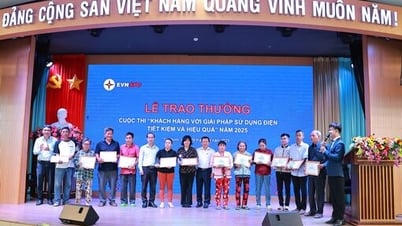 Tay Ninh Electricity recibe premios en el concurso 'Clientes con soluciones para un uso económico y eficiente de la electricidad' en 2025