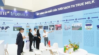 TH True MILK 'បើកដំណើរការ' អព្ភូតហេតុថ្មី: កម្មវិធី Blockchain ដើម្បីតាមដានប្រភពដើមផលិតផល