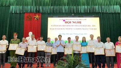 Commune de Tay Thuy Anh : Hommage à 40 collectifs et individus typiques et avancés