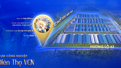 5 raisons pour lesquelles le pôle industriel Dien Tho VCN est une destination d'investissement industriel attrayante à Khanh Hoa