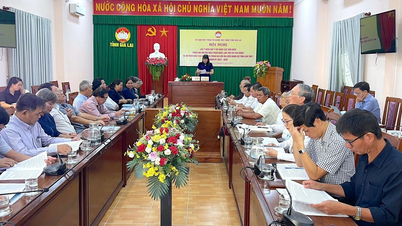 El Comité del Frente de la Patria de Vietnam de la provincia de Gia Lai solicita comentarios sobre los proyectos de documentos e informes políticos que se presentarán al Congreso del Partido.