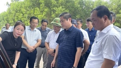Da Nang: Beseitigung von Hindernissen für zwei Industrieparkprojekte mit über 600 Hektar