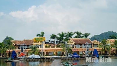 Ninh Binh រៀបចំព្រឹត្តិការណ៍វប្បធម៌ កីឡា និងទេសចរណ៍ជាច្រើន ដើម្បីអបអរសាទរទិវាបុណ្យជាតិ ថ្ងៃទី២ ខែកញ្ញា