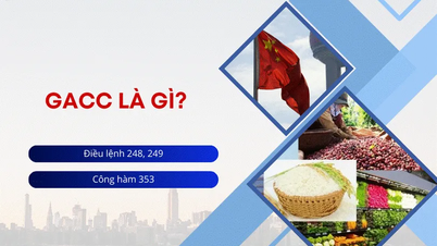 Đăng ký mã GACC - mã số xuất khẩu thực phẩm sang Trung Quốc theo lệnh 248