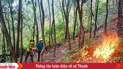 Strengthening the implementation of tasks and solutions for forest protection and forest fire prevention and fighting