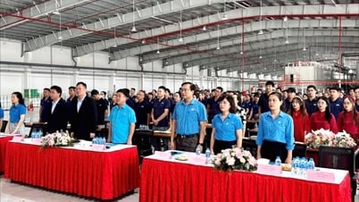GPN 자동차 회사 노동조합 설립