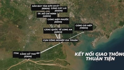 Inauguração do Cluster Industrial Gia Thuan 2 em Dong Thap, abrindo novo espaço de desenvolvimento