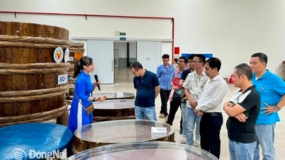 เยี่ยมชมโรงงานผลิตน้ำปลา OCOP ระดับ 5 ดาวใน Thanh Hoa