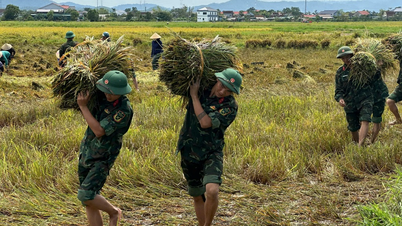 ห่าติ๋ญ: ทหารช่วยคนเกี่ยวข้าวหลังพายุ