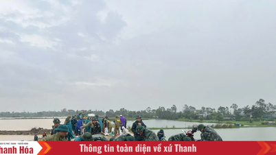 Quang Phu Ward ផ្តោតលើការដោះស្រាយឧប្បត្តិហេតុបាក់ដីនៅជើងទំនប់។
