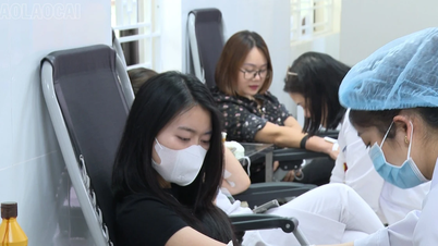 Bệnh viện Đa khoa số 2 tỉnh Lào Cai kêu gọi các tổ chức, cá nhân tình nguyện hiến máu cứu người