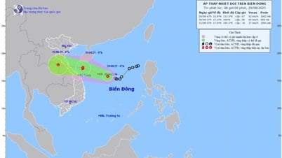 Áp thấp nhiệt đới dự báo đi vào miền Trung
