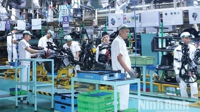 Le secteur fiscal de Ninh Binh s'efforce d'achever sa tâche de collecte du budget