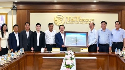 Grup T&T berencana untuk mempelajari dan berinvestasi dalam banyak proyek strategis dan terobosan di Ca Mau