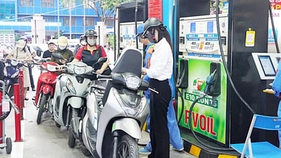 Chuyển đổi sang xăng E10 từ năm 2026: Chất lượng xăng đã được bảo chứng?