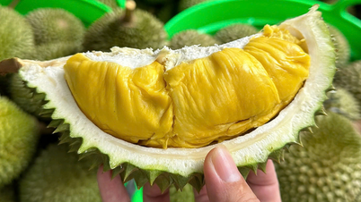 Giá sầu riêng hôm nay 29/8: Biến động trái chiều