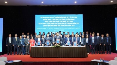El Departamento de Salud de Cao Bang asiste a la Conferencia Anual de Intercambio Médico 2025 entre las provincias fronterizas de Vietnam y la Región Autónoma Zhuang de Guangxi, China.