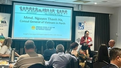 Promoción de la cooperación empresarial entre Vietnam y Australia Occidental