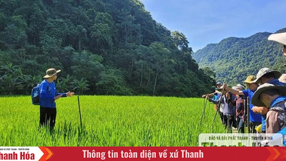 Wisata Trekking - Pengalaman berharga dan catatan keselamatan