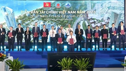 Vietnam Finance Forum 2025 in Da Nang: Ankündigung einer Reihe von Kooperationsvereinbarungen