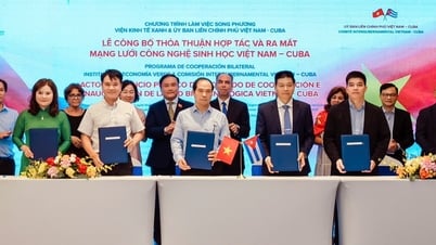 มหาวิทยาลัยดาลัดร่วมเวียดนาม – เครือข่ายเทคโนโลยีชีวภาพคิวบา