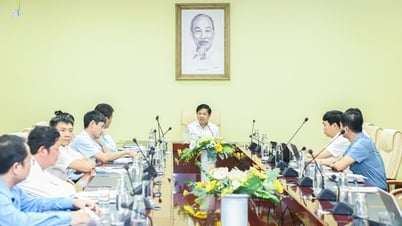 다낭시 적응형 통합 개발 프로젝트 시행 가속화