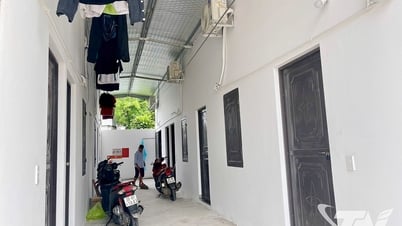 Escasez de habitaciones para nuevos estudiantes