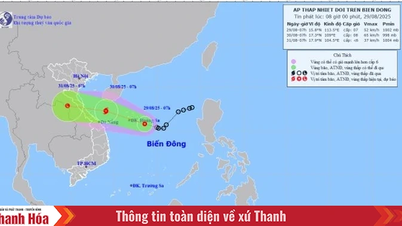 Áp thấp nhiệt đới trên biển Đông gây gió giật cấp 9