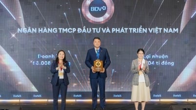 BIDV reconocida entre las 50 mejores empresas que cotizan en bolsa en Vietnam