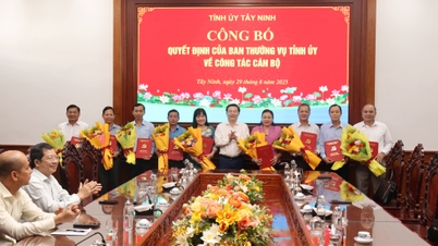 Komite Partai Provinsi Tay Ninh mengumumkan keputusan pensiun dini