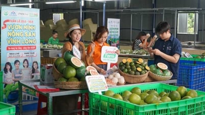Сельскохозяйственная продукция Винь Лонга «распродана» благодаря прямой трансляции