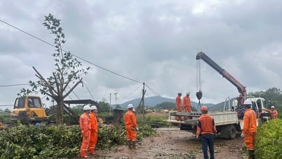 EVNNPC ha restablecido el suministro eléctrico a más del 95% de los clientes afectados por la tormenta nº 5.