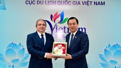 Stärkung der Konnektivität und Ausweitung der Tourismuskooperation zwischen Vietnam und Aserbaidschan