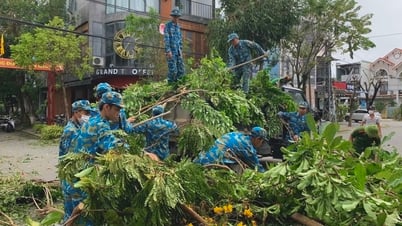 嵐の後の緑