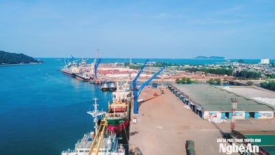 Nghe An synchronisiert Lösungen zur Steigerung der Haushaltseinnahmen durch Zollabfertigung von Waren
