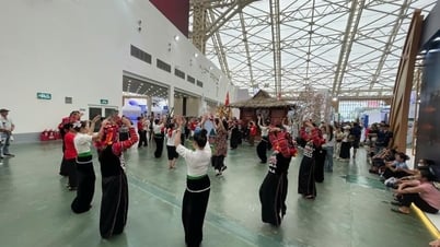Некоторые фотографии выставочного стенда провинции Дьенбьен, участвующего в Выставке национальных достижений по случаю 80-й годовщины Национального дня.
