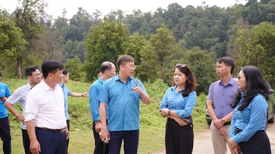 Khảo sát việc xây dựng đường điện thắp sáng tại thôn Cốc Mặn