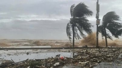 Ứng phó áp thấp nhiệt đới trên biển Đông mạnh lên thành bão