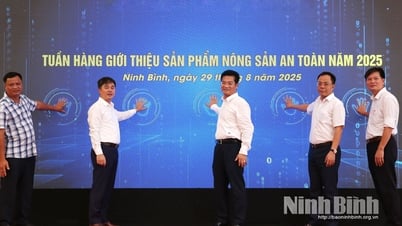 Hội nghị Xúc tiến thương mại nông nghiệp và Khai mạc Tuần hàng Giới thiệu sản phẩm nông sản an toàn, sản phẩm OCOP năm 2025