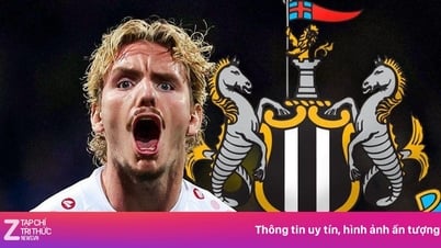 نيوكاسل "يفجر" أغلى فيلم في التاريخ