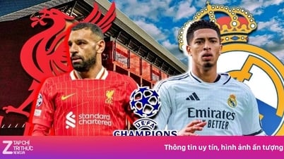Seltsame Regel verbietet Liverpool das Spiel gegen Real Madrid in Anfield