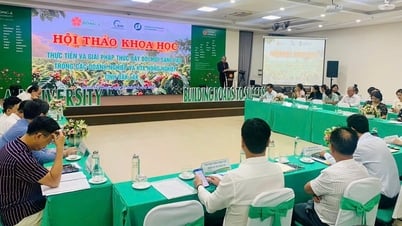 Hội thảo Khoa học thực tiễn và giải pháp thúc đẩy đổi mới sáng tạo trong các doanh nghiệp và hợp tác xã nông nghiệp trên địa bàn tỉnh Đắk Lắk