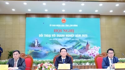 2025년 람동에서 열리는 대화 컨퍼런스에는 약 400개 기업이 참석합니다.