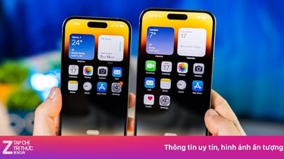 Apple gagne 5 000 milliards de VND au Vietnam chaque mois