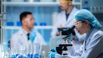 Special preferential policies and regimes for Chief Engineers and Chief Architects of Science and Technology