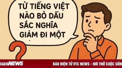 Từ Tiếng Việt nào bỏ dấu sắc nghĩa giảm đi một nửa?